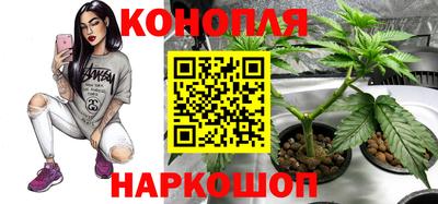 МДПВ Мариинск