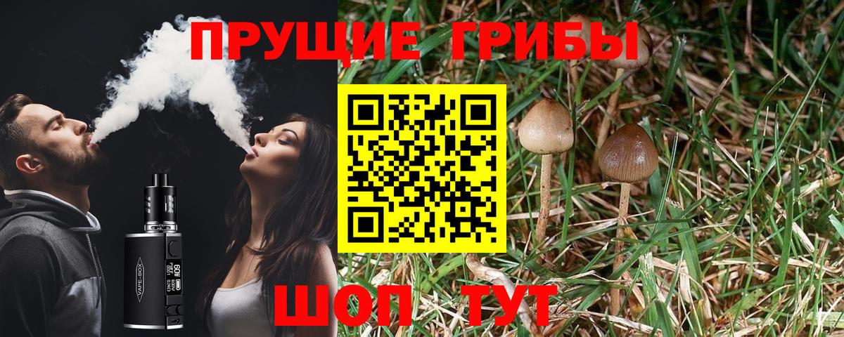 Томск  Псилоцибиновые грибы мицелий  где найти   Вход с VPN 